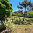  Land for sale in Biobío, Concepcion, Concepción, Biobío