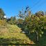  Land for sale in Biobío, Concepcion, Concepción, Biobío