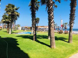2 Bedroom Apartment for rent in Japonés Jardin del Corazón Park, Coquimbo, Coquimbo