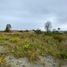  Land for sale in Chile, Puerto Montt, Llanquihue, Los Lagos, Chile