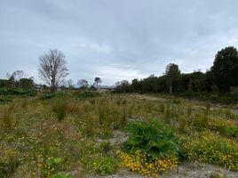  Land for sale in Chile, Puerto Montt, Llanquihue, Los Lagos, Chile