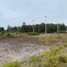  Land for sale in Chile, Puerto Montt, Llanquihue, Los Lagos, Chile