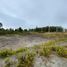  Land for sale in Chile, Puerto Montt, Llanquihue, Los Lagos, Chile