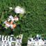  Land for sale in Conkal, Yucatan, Conkal