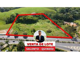  Land for sale in Salento, Quindio, Salento