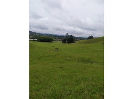  Land for sale in El Carmen De Viboral, Antioquia, El Carmen De Viboral