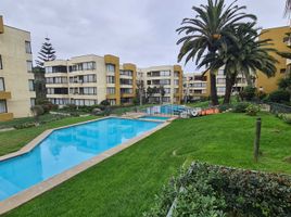 2 Habitación Apartamento en alquiler en Chile, Viña del Mar, Valparaíso, Valparaíso, Chile