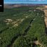  Land for sale in Maule, Cauquenes, Cauquenes, Maule