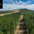  Land for sale in Maule, Cauquenes, Cauquenes, Maule
