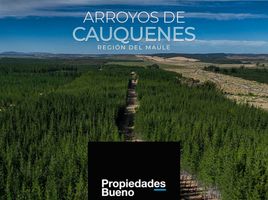  Land for sale in Maule, Cauquenes, Cauquenes, Maule