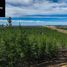 Land for sale in Maule, Cauquenes, Cauquenes, Maule