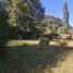  Land for sale in Cautin, Araucania, Curarrehue, Cautin