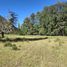  Land for sale in Cautin, Araucania, Curarrehue, Cautin