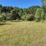  Land for sale in Cautin, Araucania, Curarrehue, Cautin