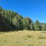  Land for sale in Cautin, Araucania, Curarrehue, Cautin