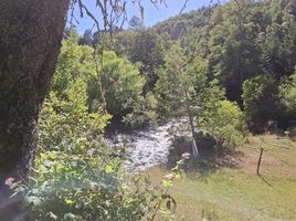 Land for sale in Cautin, Araucania, Curarrehue, Cautin