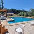  Land for sale in Biobío, Cabrero, Biobío, Biobío