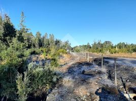  Land for sale in Chile, Paine, Maipo, Santiago, Chile