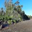  Land for sale in Chile, Paine, Maipo, Santiago, Chile