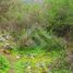  Land for sale in Chile, Paine, Maipo, Santiago, Chile