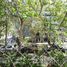 4 Habitación Apartamento en venta en Santiago, Santiago, Santiago, Santiago