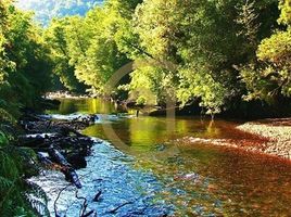  Land for sale in Chile, Puerto Montt, Llanquihue, Los Lagos, Chile