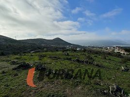  토지을(를) 엘키, 코 퀴보에서 판매합니다., Coquimbo, 엘키