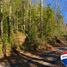  Land for sale in Cautin, Araucania, Pucon, Cautin