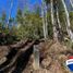  Land for sale in Cautin, Araucania, Pucon, Cautin