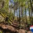  Land for sale in Cautin, Araucania, Pucon, Cautin