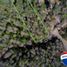  Land for sale in Cautin, Araucania, Pucon, Cautin
