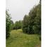  Land for sale in Los Lagos, Puerto Montt, Llanquihue, Los Lagos