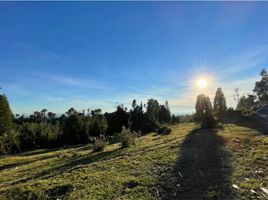  Land for sale in Los Lagos, Puerto Montt, Llanquihue, Los Lagos