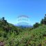  Land for sale in Los Lagos, Puerto Montt, Llanquihue, Los Lagos