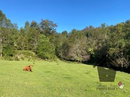  Terreno (Parcela) en venta en Cautín, Araucanía, Curarrehue, Cautín