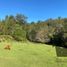  Land for sale in Curarrehue, Araucania, Curarrehue