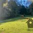  Terreno (Parcela) en venta en Cautín, Araucanía, Curarrehue, Cautín