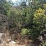 Land for sale in Valparaiso, Olmue, Quillota, Valparaiso