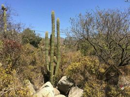  Land for sale in Valparaiso, Olmue, Quillota, Valparaiso