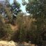  Land for sale in Valparaiso, Olmue, Quillota, Valparaiso