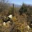  Land for sale in Valparaiso, Olmue, Quillota, Valparaiso