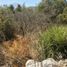  Land for sale in Valparaiso, Olmue, Quillota, Valparaiso