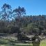  Land for sale in Chile, Algarrobo, San Antonio, Valparaiso, Chile