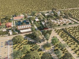  Grundstück zu verkaufen in Telchac Pueblo, Yucatan, Telchac Pueblo