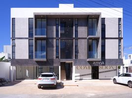 86 SqM Office for rent in Mexico, Merida, Yucatan, Mexico