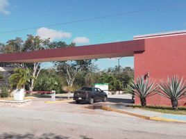  Grundstück zu verkaufen in Merida, Yucatan, Merida, Yucatan
