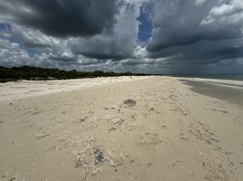  Terrain for sale in Yucatan, Hunucma, Yucatan