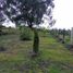  Land for sale in Marinilla, Antioquia, Marinilla