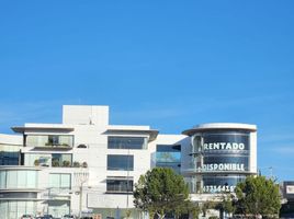 142 SqM Office for rent in Guanajuato, Leon, Guanajuato