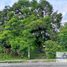  Land for sale in La Concepcion, Chiriqui, La Concepcion, Bugaba